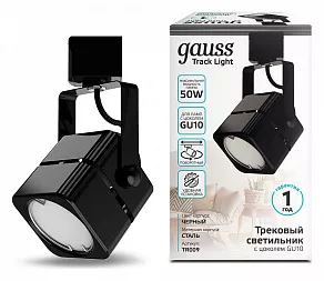 Светильник на штанге Gauss TR TR009