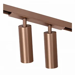 Светильник на штанге Lucide Linial 55902/20/05