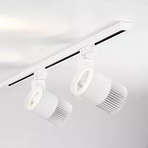 Светильник на штанге Elektrostandard Accord LTB43