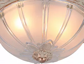Накладной светильник Arte Lamp Piatti A8014PL-2WA