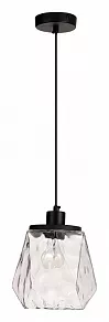 Подвесной светильник Odeon Light Capra 4996/1