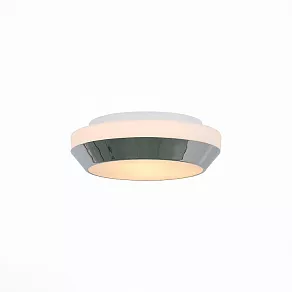 Накладной светильник ST-Luce Bagno SL469.502.02