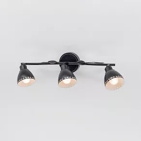 Бра Citilux Робуста CL509532