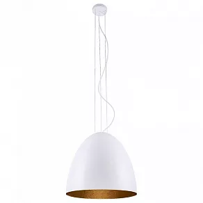 Подвесной светильник Nowodvorski Egg M 9021