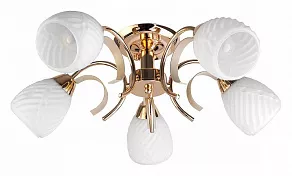 Люстра на штанге TopLight Lenore TL3530X-05FG