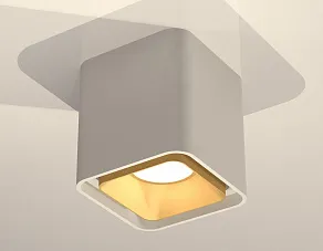 Накладной светильник Ambrella XS XS7840004