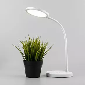 Настольная лампа офисная Elektrostandard Tiara a048742