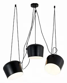 Подвесная люстра EVOLUCE Trieste SLE120643-03