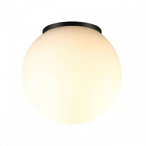 Накладной светильник Odeon Light NATURE 7124/1C