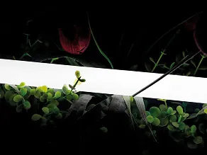 Лента светодиодная SWG PRO  00-00013283