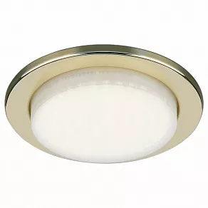 Встраиваемый светильник Elektrostandard 1035 a040749