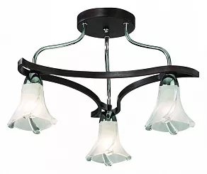 Потолочная люстра Odeon Light Iwo 2237/3С