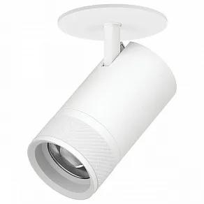 Спот Lightstar Canno Pro C4406RS