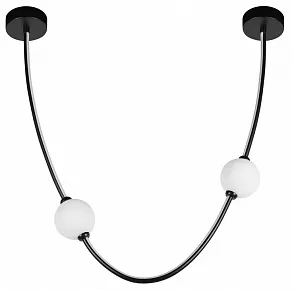 Подвесной светильник Loft it Embrace 10242/600 Black