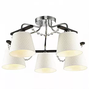 Потолочная люстра Odeon Light Salanso 2931/5C