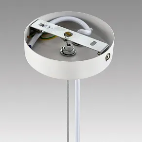 Подвесной светильник Lumion TORINA 8265/5