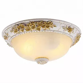 Накладной светильник Arte Lamp Torta A7101PL-2WG
