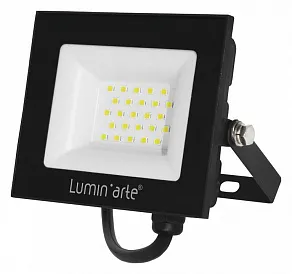Настенно-потолочный прожектор Luminarte LFL-30W LFL-30W/06