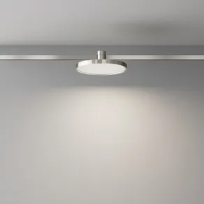 Накладной светильник Maytoni Plato TR153-1-10W4K-PT