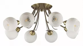 Потолочная люстра Lumion Tula 5265/8C
