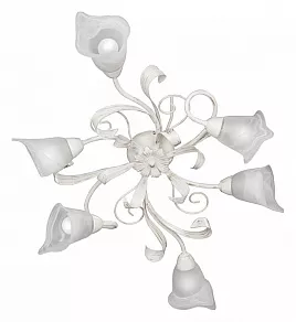 Потолочная люстра Vitaluce V3747 V3747-0/6PL