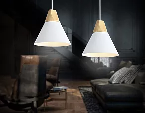 Подвесной светильник Ambrella TR TR8195