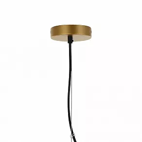 Подвесная люстра Favourite Traube 2360-6P