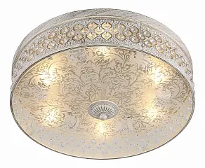 Накладной светильник ST-Luce SL240 SL240.502.06