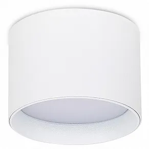 Накладной светильник Donel DN02 DN02011R1W