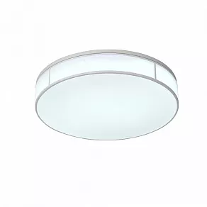 Накладной светильник ST-Luce Fella SL417.502.01