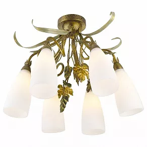 Потолочная люстра Arte Lamp Tipico A8935PL-6GA