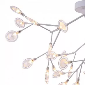 Потолочная люстра Freya Florencia FR5049CL-36W