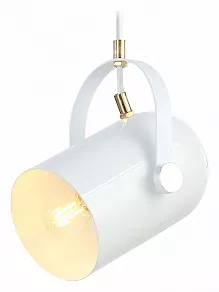 Подвесной светильник Ambrella TR TR8205