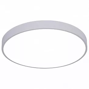 Накладной светильник Arte Lamp Arena A2670PL-1WH