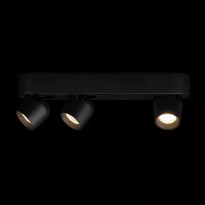 Накладной светильник Loft it Quiet 10320/3 Black