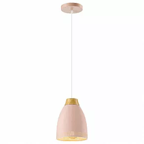 Подвесной светильник Lumion Anna 3796/1