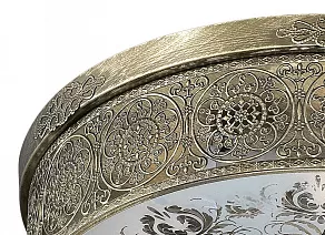 Накладной светильник Odeon Light Aster 2782/4C