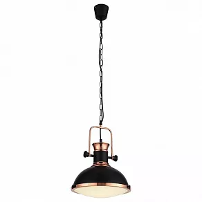 Подвесной светильник ST-Luce Lanterio SL404.403.01