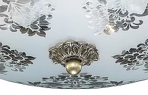 Накладной светильник Odeon Light Aspena 2776/6C