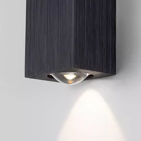 Накладной светильник Elektrostandard Petite 40110/LED черный