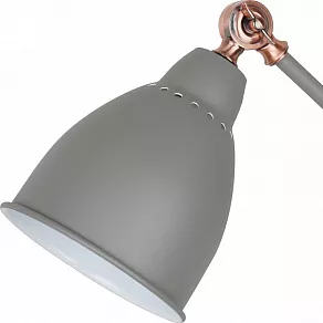 Бра Arte Lamp Braccio A2054AP-1GY