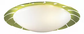Накладной светильник Odeon Light Zita 2754/3C