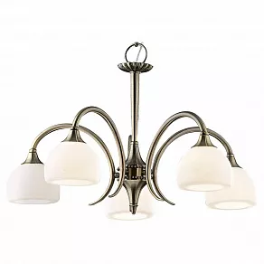 Подвесная люстра Odeon Light Adriana 1601/5