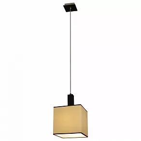 Подвесной светильник Arte Lamp Quadro A4402SP-1BK
