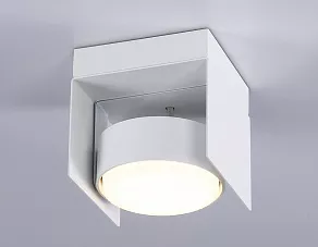 Накладной светильник Ambrella TN TN70841