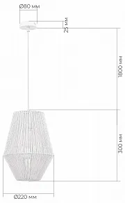 Подвесной светильник EVOLUCE ETTAN SLE6025-513-01