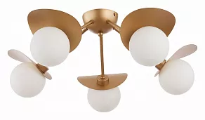 Потолочная люстра EVOLUCE Bolzano SLE220502-05