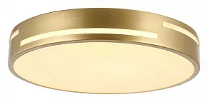 Накладной светильник F-promo Pall 2745-1C
