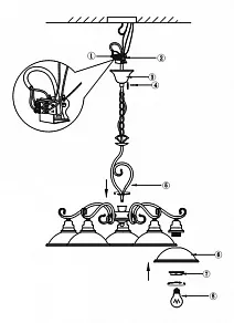 Подвесная люстра Globo Sassari 6905-5