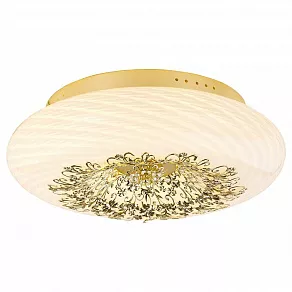 Накладной светильник Arte Lamp Zucca A9111PL-6GO